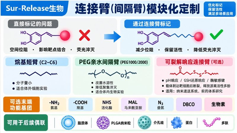 多酚天然分子如何做荧光标记?定制合成方案
