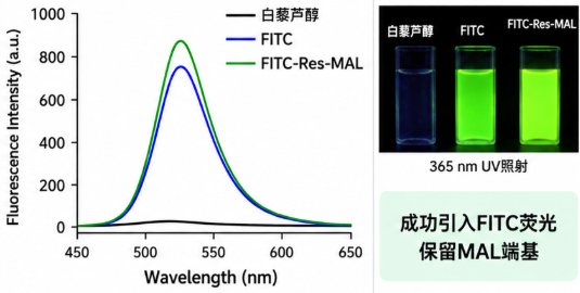 多酚天然分子如何做荧光标记?定制合成方案