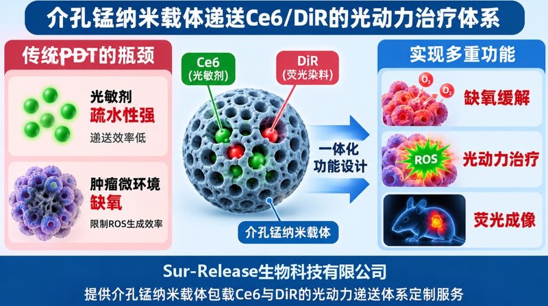 荧光示踪型介孔锰Ce6纳米递送体系定制开发|Sur-Release生物技术服务