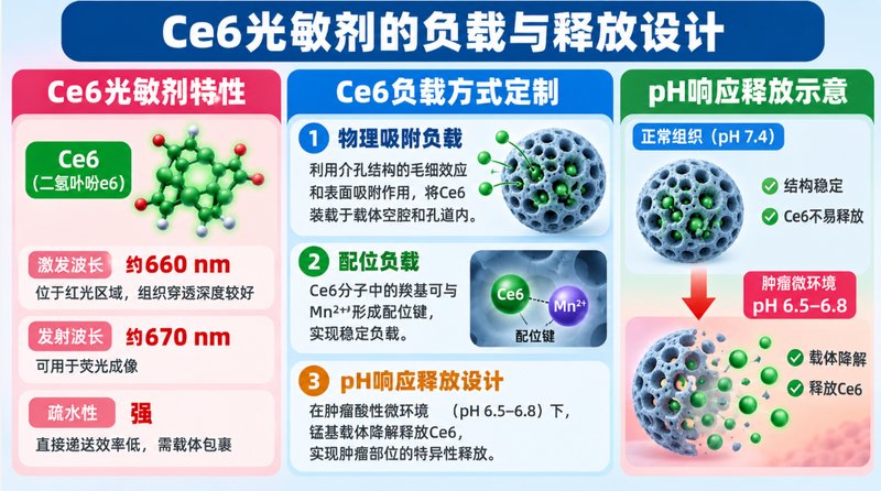 荧光示踪型介孔锰Ce6纳米递送体系定制开发|Sur-Release生物技术服务