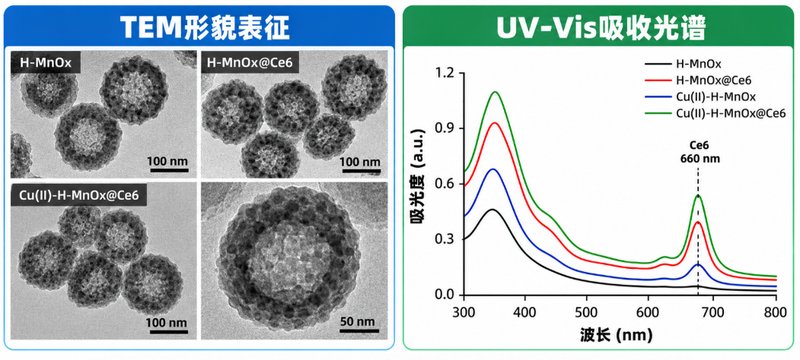 荧光示踪型介孔锰Ce6纳米递送体系定制开发|Sur-Release生物技术服务