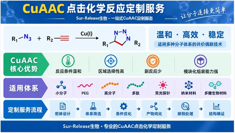 CuAAC点击反应怎么定制？位点、Linker与催化体系均可优化