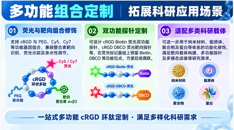 cRGD环肽如何实现荧光示踪?定点标记定制方案