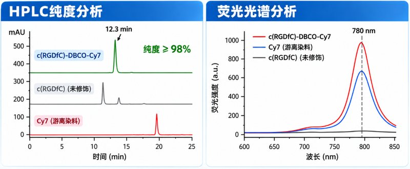 cRGD环肽如何实现荧光示踪?定点标记定制方案