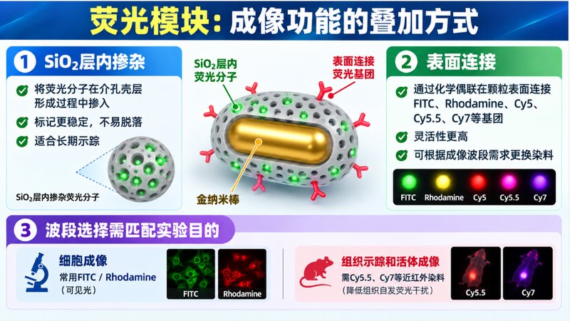 荧光标记AuNRs@mSiO₂复合纳米颗粒定制