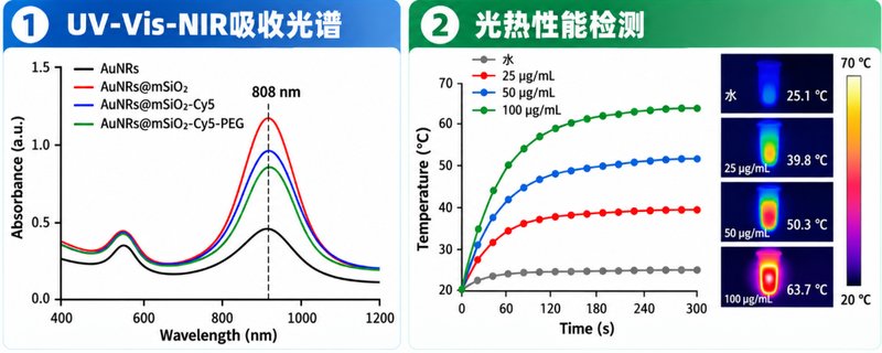 荧光标记AuNRs@mSiO₂复合纳米颗粒定制
