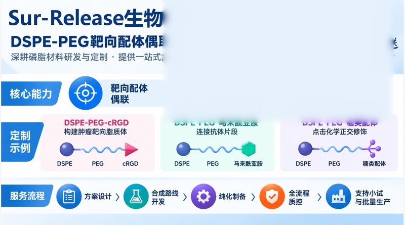 DSPE-PEG靶向配体偶联材料定制:多肽、蛋白、适配体功能化