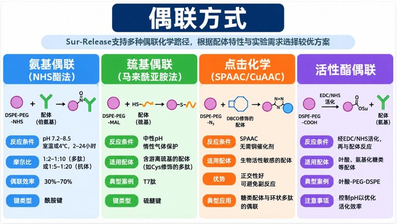 DSPE-PEG靶向配体偶联材料定制:多肽、蛋白、适配体功能化