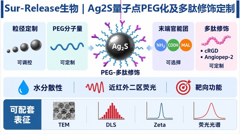 多功能Ag₂S量子点定制|PEG、多肽双重表面修饰