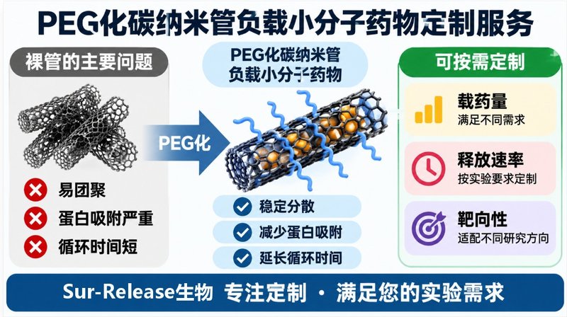 碳纳米管PEG化与小分子载药一体化定制