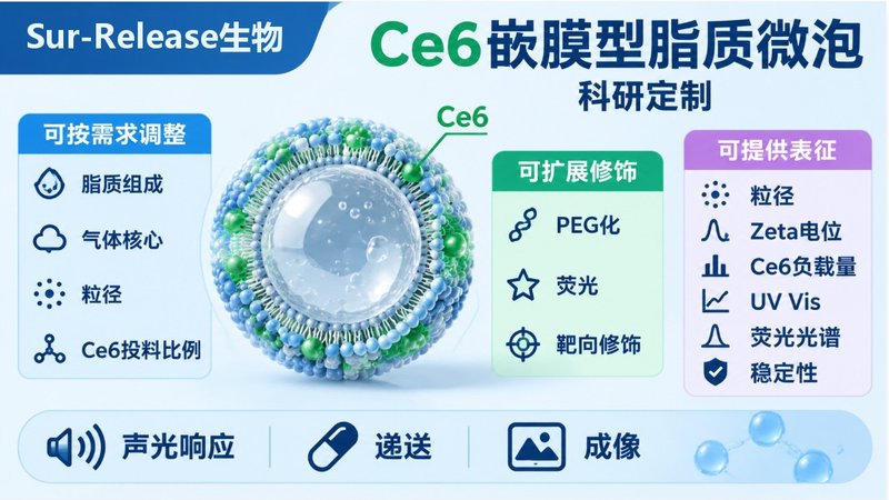 Ce6嵌入型脂质微泡定制,疏水光敏剂高效负载体系开发