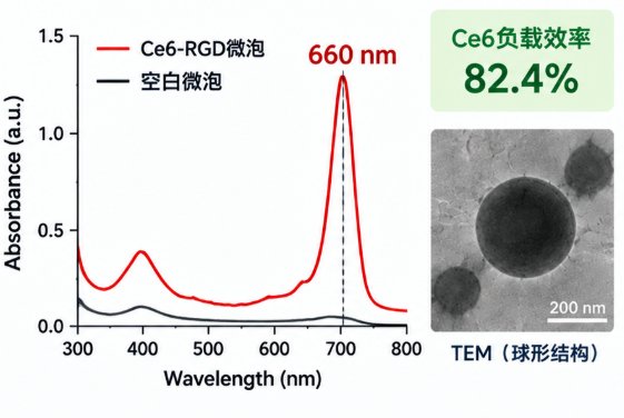 Ce6嵌入型脂质微泡定制,疏水光敏剂高效负载体系开发