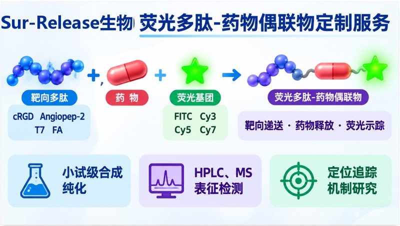 荧光多肽-药物偶联物定制开发,支持Cy5/Cy7/FITC标记