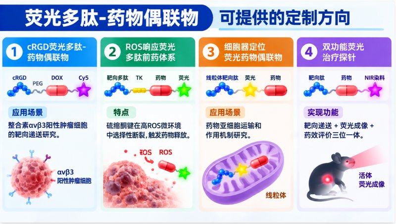 荧光多肽-药物偶联物定制开发,支持Cy5/Cy7/FITC标记