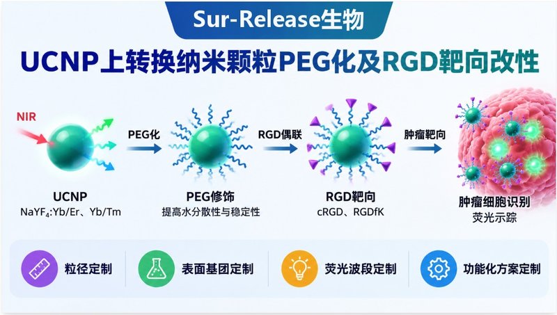 UCNP上转换纳米颗粒定制合成,PEG修饰与RGD靶向功能开发