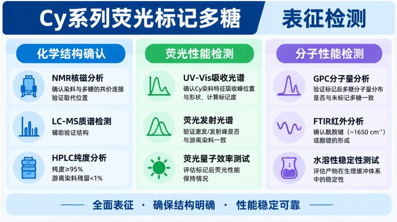 荧光多糖材料怎么设计?羟乙基淀粉与褐藻多糖定制方案解析