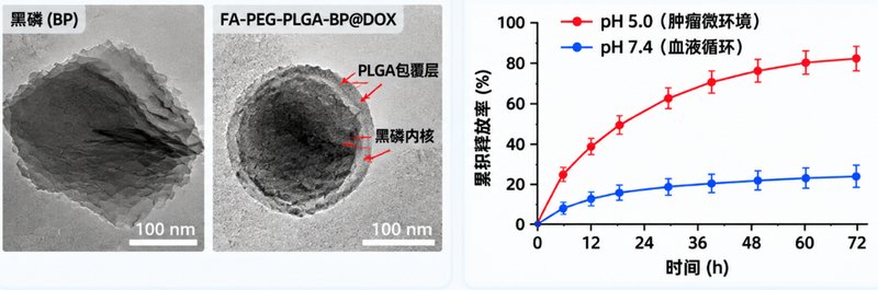 PLGA/PVP包覆黑磷纳米材料定制:pH响应降解体系开发
