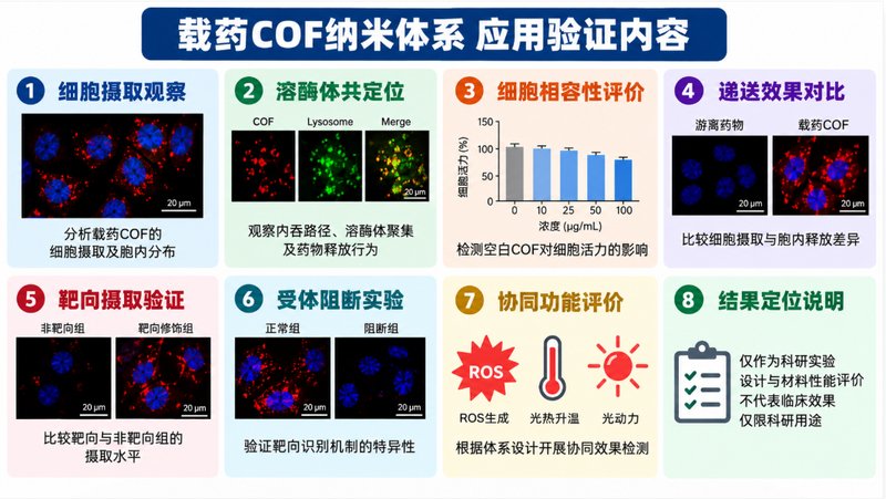 COF纳米载体定制:DOX/PTX/SN-38药物负载与递送体系开发