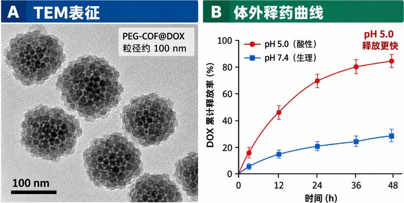 COF纳米载体定制:DOX/PTX/SN-38药物负载与递送体系开发