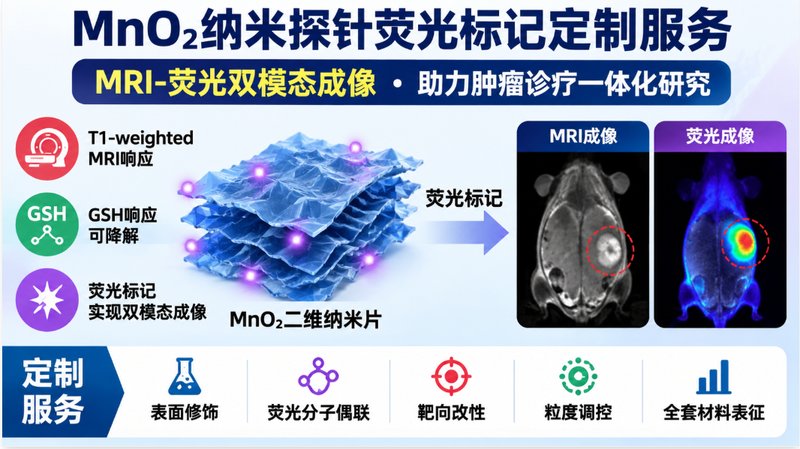 MnO₂双模态纳米探针怎么定制？荧光标记与MRI功能一体化