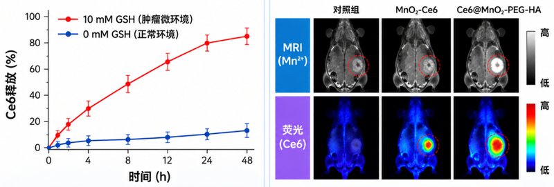 MnO₂双模态纳米探针怎么定制？荧光标记与MRI功能一体化