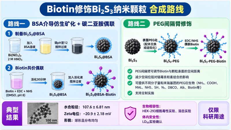 生物素（Biotin）功能化Bi₂S₃纳米颗粒，粒径、表面基团与偶联密度可调