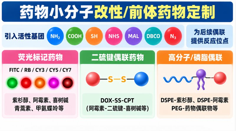 ADC与SMDC定制:小分子药物偶联及连接子设计