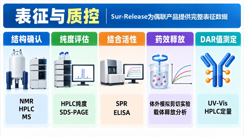 ADC与SMDC定制:小分子药物偶联及连接子设计
