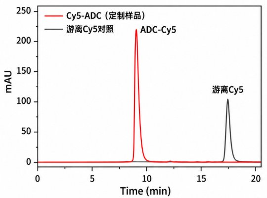 ADC与SMDC定制:小分子药物偶联及连接子设计