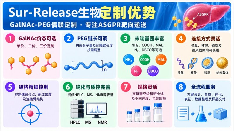 基于GalNAc-ASGPR识别的PEG偶联物定制