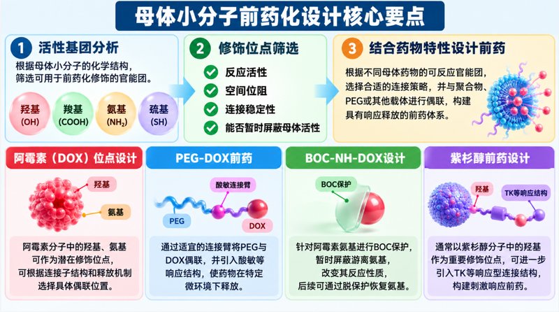 可控释放小分子前药定制:从基团修饰到响应设计