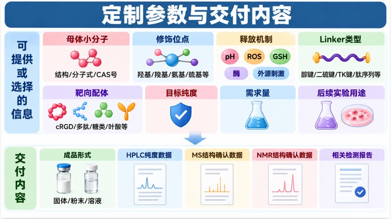 可控释放小分子前药定制:从基团修饰到响应设计
