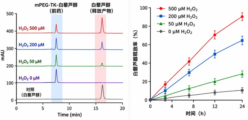 可控释放小分子前药定制:从基团修饰到响应设计