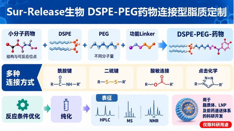 小分子药物DSPE-PEG偶联定制:连接臂设计与合成开发