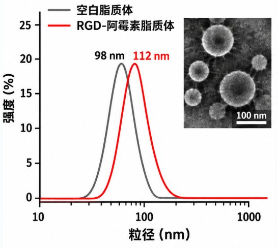 小分子药物DSPE-PEG偶联定制:连接臂设计与合成开发