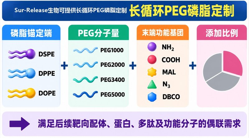 PEG磷脂长循环材料定制：链长、磷脂与末端基团可调