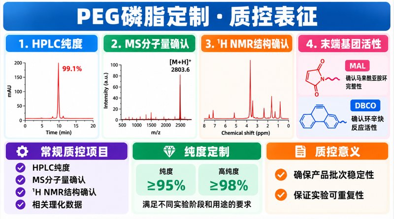 PEG磷脂长循环材料定制：链长、磷脂与末端基团可调