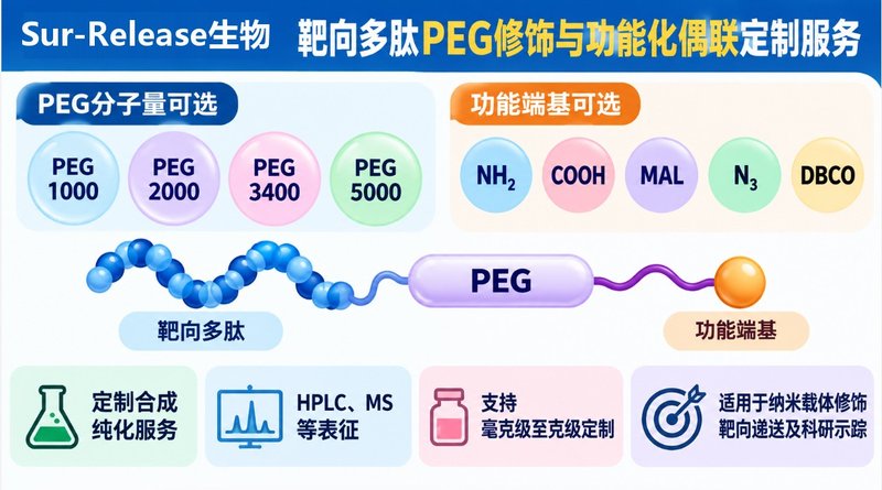 靶向多肽的PEG化改性与功能分子偶联定制