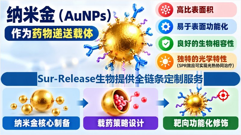 纳米金负载药物怎么定制？载药类型与功能化方案