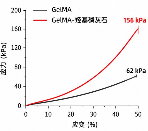 水凝胶科研定制服务：小试开发、系统表征与放大制备