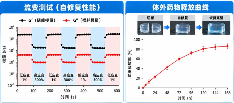 水凝胶科研定制服务：小试开发、系统表征与放大制备