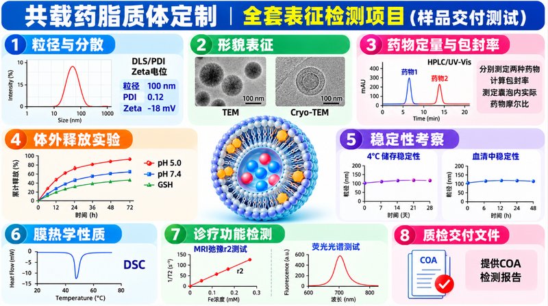 多药共载脂质体定制:协同递送、靶向修饰与响应释放