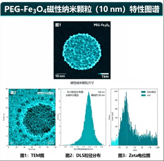 聚乙二醇PEG修饰无机纳米颗粒（Fe₃O₄、TiO₂、SiO₂、ZnO）等定制服务