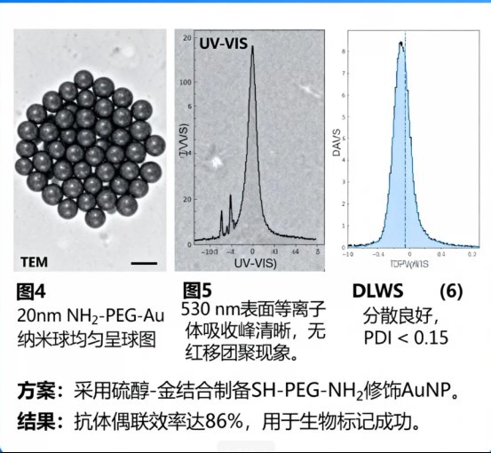 聚乙二醇PEG修饰无机纳米颗粒（Fe₃O₄、TiO₂、SiO₂、ZnO）等定制服务