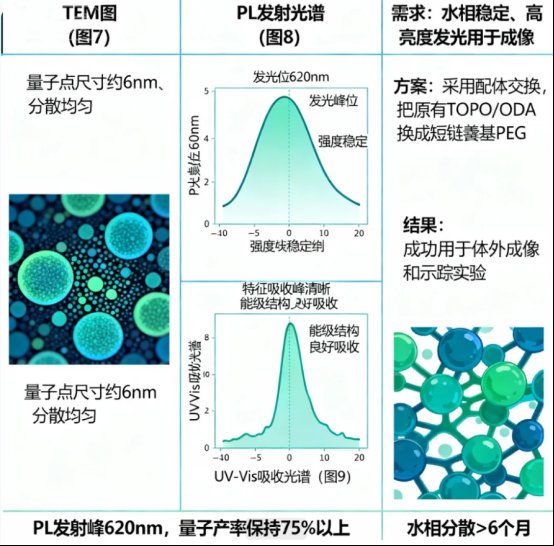 聚乙二醇PEG修饰无机纳米颗粒（Fe₃O₄、TiO₂、SiO₂、ZnO）等定制服务