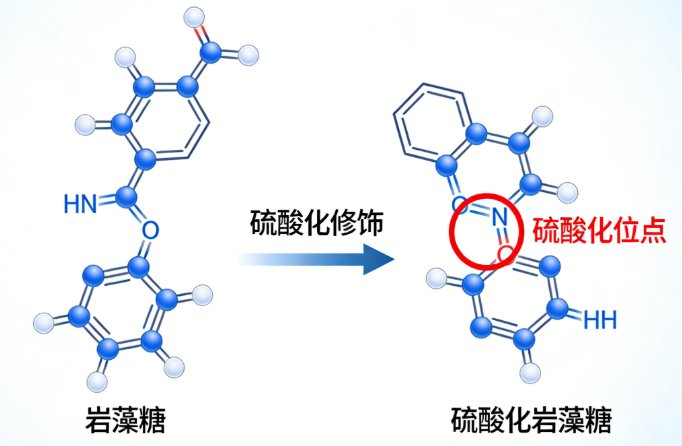 几十种单糖的化学修饰、位点选择性改性与定制合成