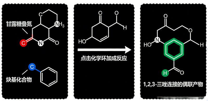 几十种单糖的化学修饰、位点选择性改性与定制合成