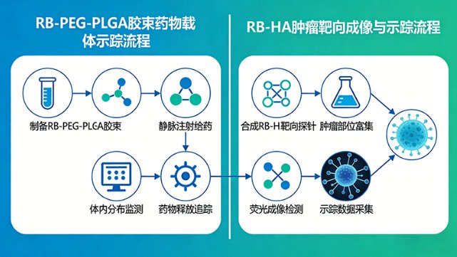 罗丹明B(RB)标记聚合物定制合成