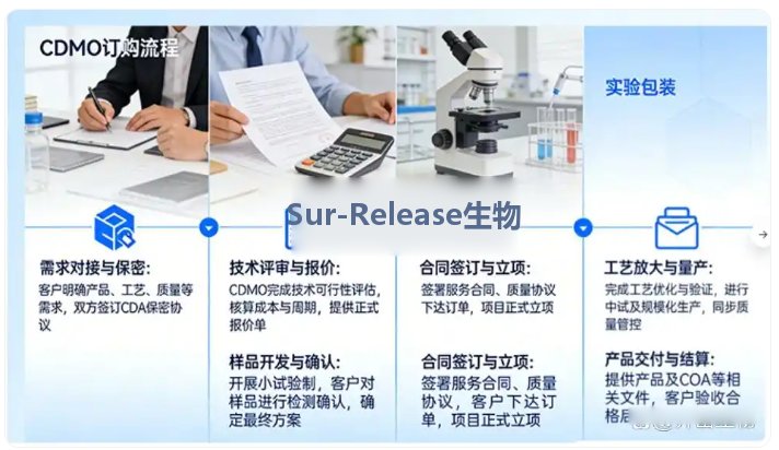 脂质体研发外包CDMO业务--Sur-Release生物技术服务