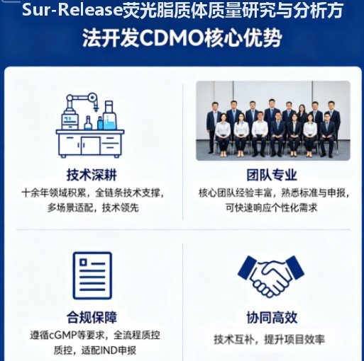 荧光脂质体质量研究与分析方法开发CDMO业务-Sur-Release生物技术服务